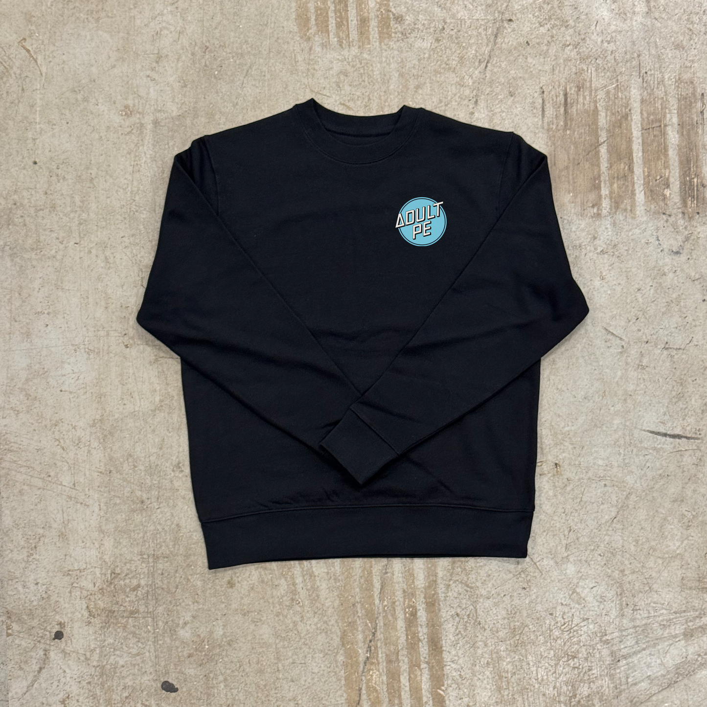 'CRUZ CONTROL' HEAVYWEIGHT SWEATSHIRT - BLACK