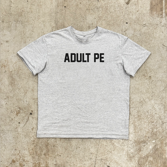 'OG ADULT PE' BLACK - OVERSIZED HEAVY TEE GREY