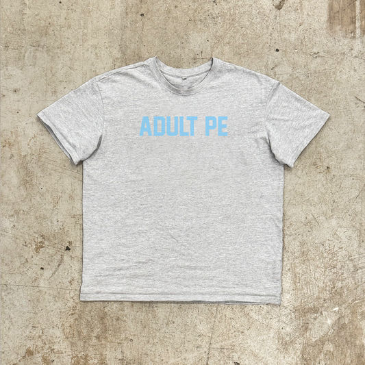 'OG ADULT PE' BLUE - OVERSIZED HEAVY TEE GREY