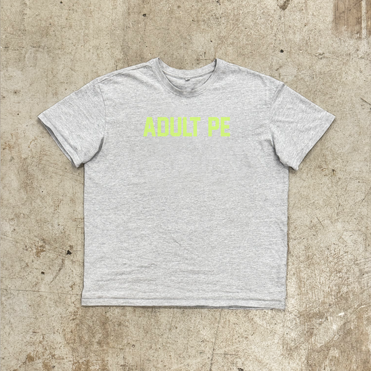 'OG ADULT PE' GREEN - OVERSIZED HEAVY TEE GREY