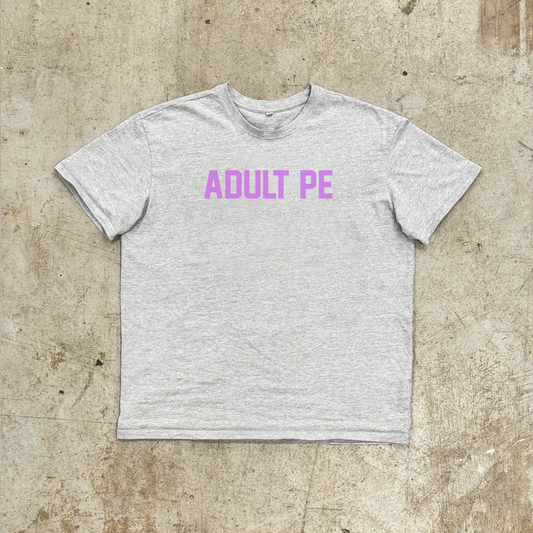 'OG ADULT PE' PURPLE - OVERSIZED HEAVY TEE GREY