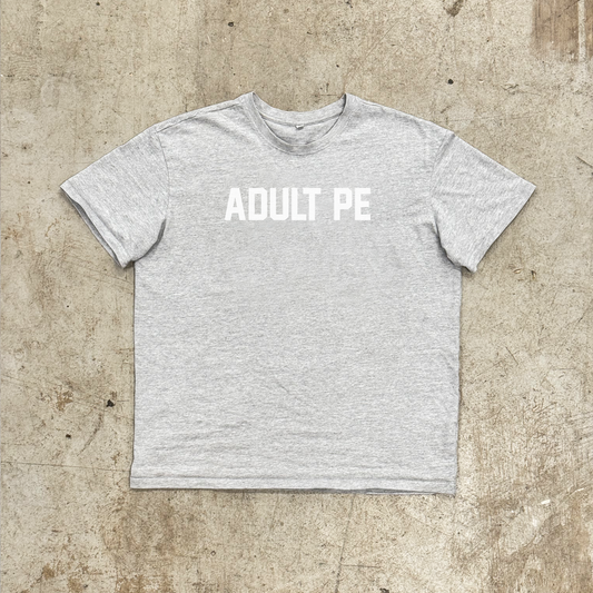 'OG ADULT PE' WHITE - OVERSIZED HEAVY TEE GREY