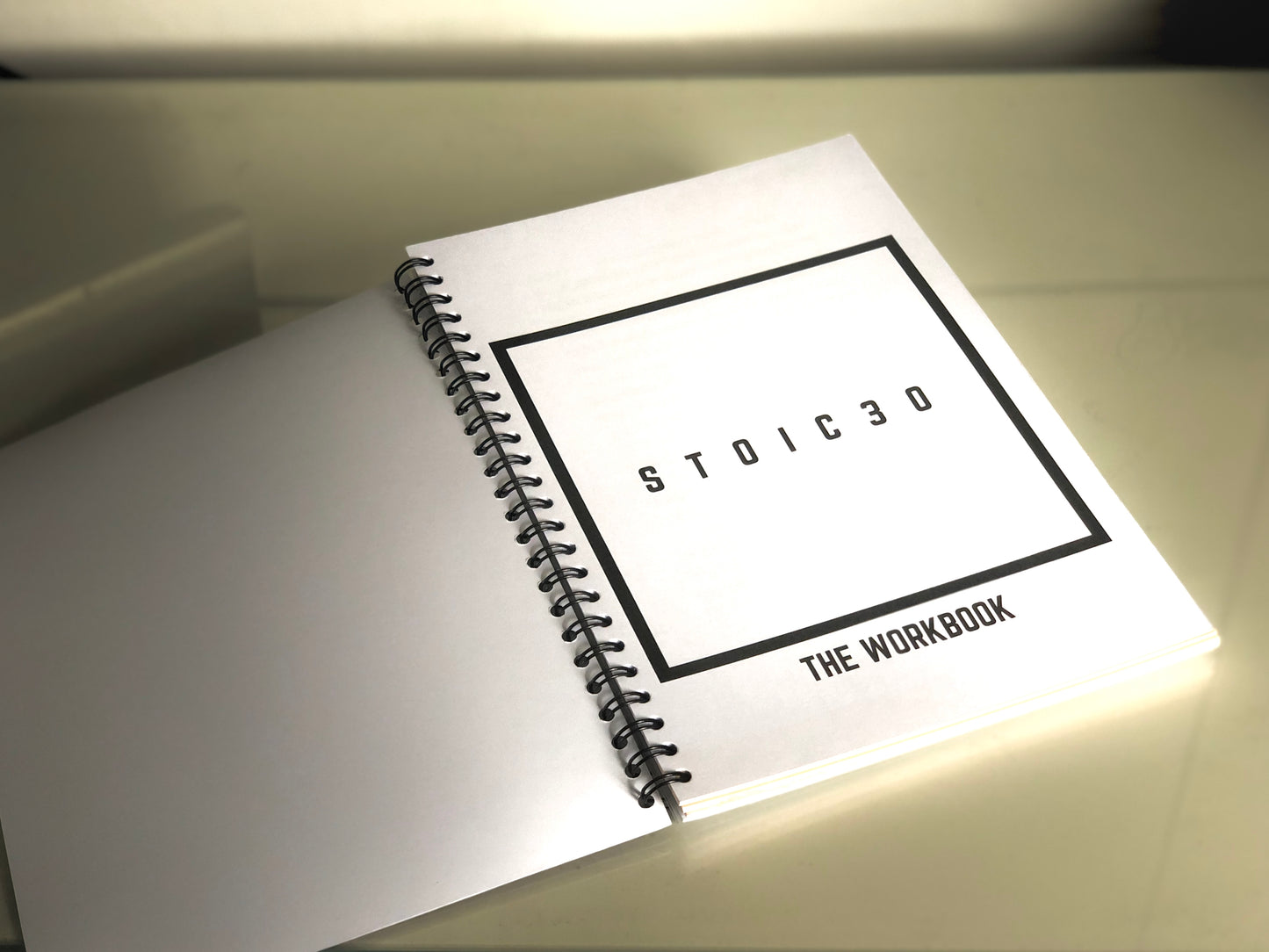 STOIC 30: THE WORKBOOK (Hardcopy)